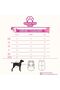 Cat Dog Outfit - Cute Teddy Bear - Small Breed - 4