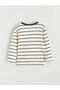 Ecru Striped Baby Boy T-Shirt and Pants 2-Piece Set - 4