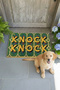 Coco Finery 40X60 cm Natural Coconut Hair Doormat, India Natural Front Door Mat - 3