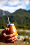Yerba Mate Tea - Argentinian Tea - 250 Gr X2 Pieces (Appetite Suppressant Tea) - 3