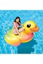 Baby Duck Ride-On Inflatable Pool Float