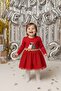 Mojo Girl's 9-24 Months Christmas Patterned Tutu Dress Red