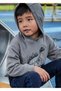 Gray Boy's Dinosaur Printed Hooded Sweatshirt 4407