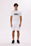 Mountain Graphic Crew Neck Letter Detail Comfortable Fit Cotton T-Shirt