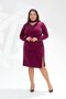 122359 Women's Plus Size Glittery Collar Detailed Dress - Glittery Plum