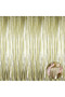 Matte Gold Tassel Door Curtain - Party, Bachelorette, Birthday 1X2 m