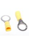 Insulated Electrical Terminal Ring 10MM 100B/Bag
