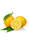 Lemon Buds / 100 Pieces / Herbal Tea Buds - 2