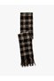 Tasseled Plaid Long Scarf