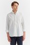 Men's Regular Shirt - 2