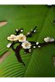 Iron-On Spring Branch Vine Decoration Sewing Accessory 40X7 cm - 4