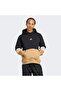 Archive Cutline Hooded Top - 2