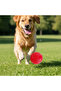 Dog Ball Bouncing Hard Ball Dog Toy 4.5cm (Non-Deforming Ball) - 4