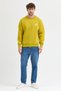 Crew Neck Embroidered Oversize Raster Basic Men's Sweatshirt
