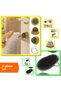 Wall-Sticking Rotating Catnip Cat Play Ball + Cat Washing Brush - Set of 2 Q1D5H1
