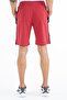 Alfred Red Standard Fit Men's Shorts - 81244 - 6