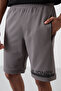 Albie Dark Gray Standard Fit Men's Shorts - 81241 - 3