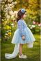 Baby Girl Rose Patterned Elegant Special Occasion Dress with Bow (Ages 0-5) - 6