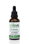 Rosemary Anti-acne & Blemish Face Serum, 50 ml – Natural Acne Treatment & Skin Nourishment - 2