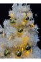 Gold Color Christmas Tree Ornament 4cm Set of 6 – Shiny Gold Christmas Ball |   Eng-106 | - 3