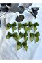 Ready-Made Bow Linen Ribbon Green 30 Pieces