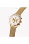 Men's Gold Stainless Steel Analog Watch | ZK127G2MS-T9 - 2