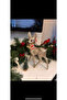 New Year's Glitter Gold Gazelle Deer 23 cm Christmas New Year Decoration Christmas Tree