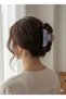 Pearlescent Marbled Marble Pattern Women Hair Clip Shiny and Durable Small Barrette Hairpins 7 cm - 2