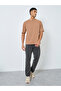 Back Tiger Print Oversized T-Shirt - 2
