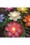 12 Piece Lotus Flower Floating Candles Water Sensor