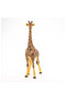 Figurina Girafa Mascul - 4