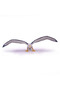 Albatross figurine - 3