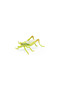 Grasshopper Figurine - 6