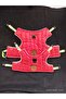 Cat & Small Breed Dog Walking Harness & Collar - 2