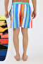 Men's Patterned Zipper Pocket Swim Shorts Blue - 4