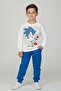Boy's Sonic Printed Color Tracksuit Set - 2