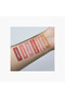 The Powder Blush - 4.5 gms - 5