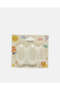 White Baby Tooth Brush & Case Set
