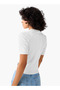 Regular Fit Polo T-shirt with Cable Knit Design - 3