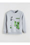 Özmarka New Season Crew Neck Printed Boys' Sweatshirt