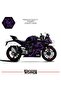 ملصق تغليف CFMOTO 450SR، طلاء واقي من البرق، طلاء للمحرك، طقم جاهز متوافق مع جميع السنوات