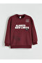 Crew Neck Printed Boys' Sweatshirt - 2