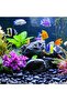 5kg River Rocks for Landscaping, Black Polished Pebbles for Plants, Size 2.5-4.0cm - 6