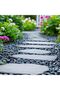 5kg River Rocks for Landscaping, Black Polished Pebbles for Plants, Size 2.5-4.0cm - 3