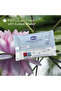 Perfumed Wipes (16 Pcs without Flip Cover) - 4