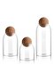 3-Piece Glass Food Storage Jar With Round Ball Cork Lid Clear 1200ml
