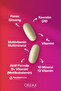 Daily One Energy 30 Tablets 2 Pieces - New Packaging - 3
