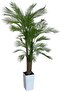 Artificial Palm Tree 210cm Faux Palm Tree in White Planter - Indoor/Outdoor