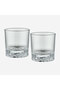 The Gentlemen's Reserve Clear Glass Whiskey Glass Set - 2