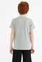 Gray Melange Print Detailed O Neck Standard Fit Boys T-Shirt - 11145 - 9